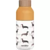 Barva Dachshund
