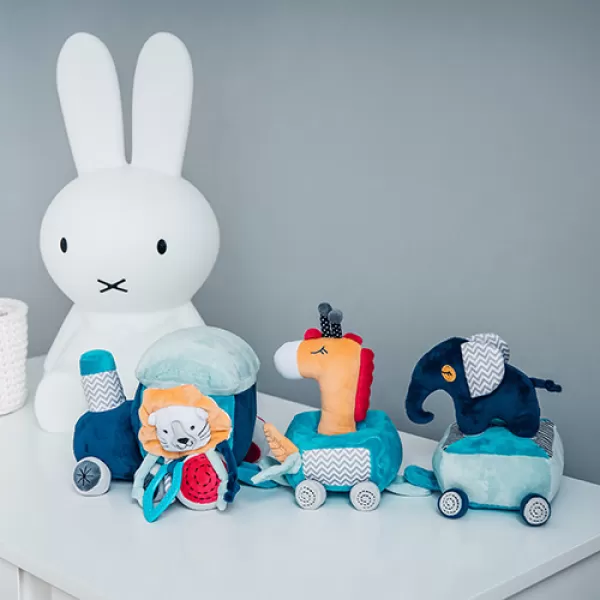 BABYONO Hračka edukativní Safari vlak 0m+