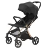 Barva 2025 Black Gold