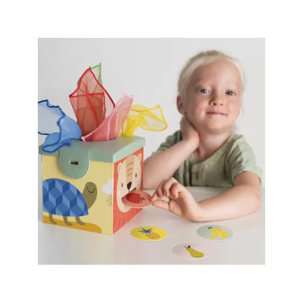 Taf Toys Magic box