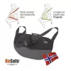 BeSafe Pregnant