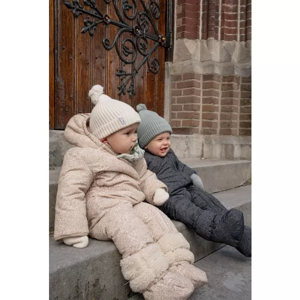 LODGER Skier Folklore Taslon