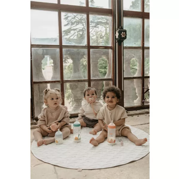 SUAVINEX Krabička na dudlík Dreams