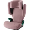 Barva 2025 Dusty Rose