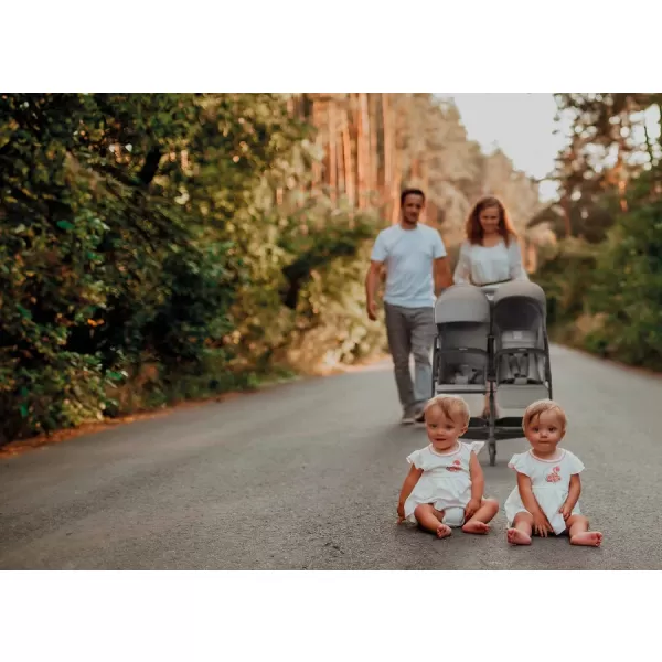 Inglesina Twin Sketch