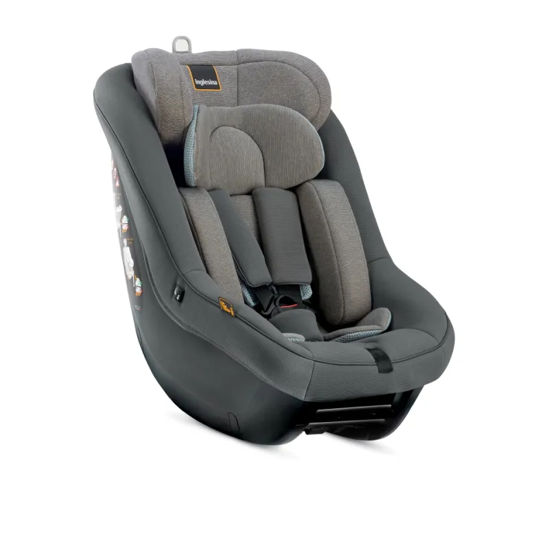 Inglesina Darwin Next Stage i-Size