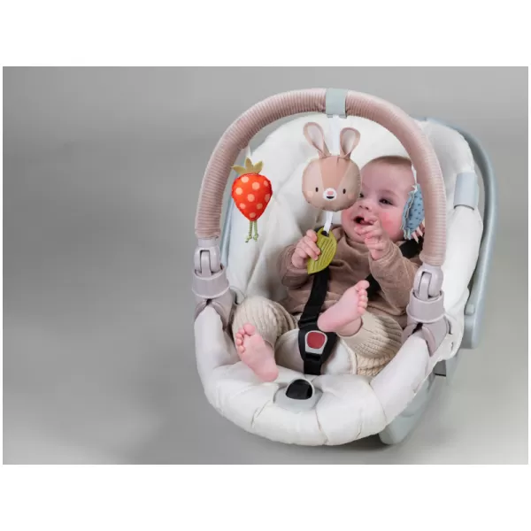 Taf Toys Hudební hrazda Bunny