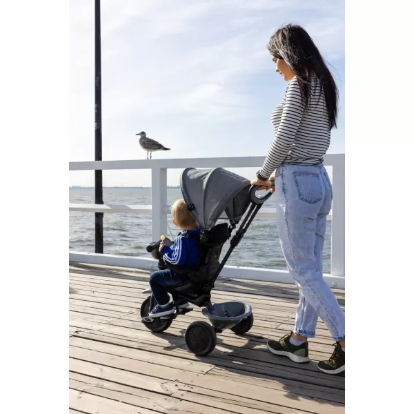 QPLAY Tříkolka Cosy, věk 10-72 měsíců