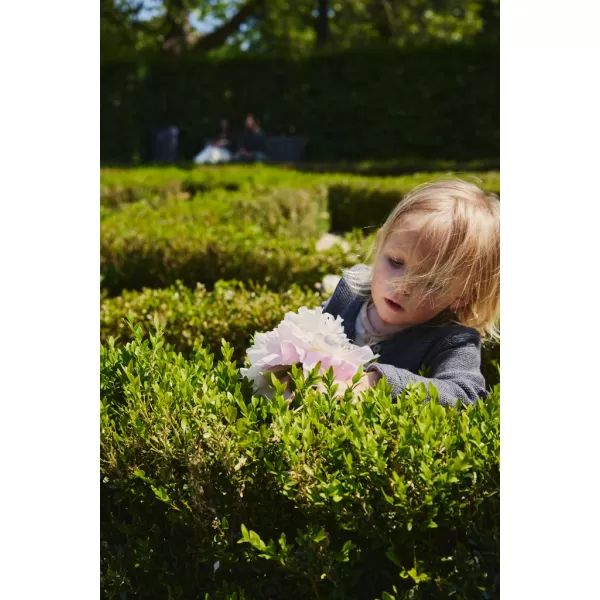 EASYWALKER Kočárek kombinovaný Harvey⁵ Premium XXL AIR + CYBEX Aton B2 i-Size