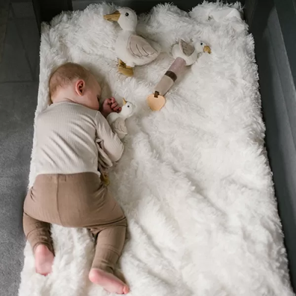 BABYONO Mazlíček dečka 2v1 Houska Zoe 0m+