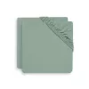 Barva Ash Green