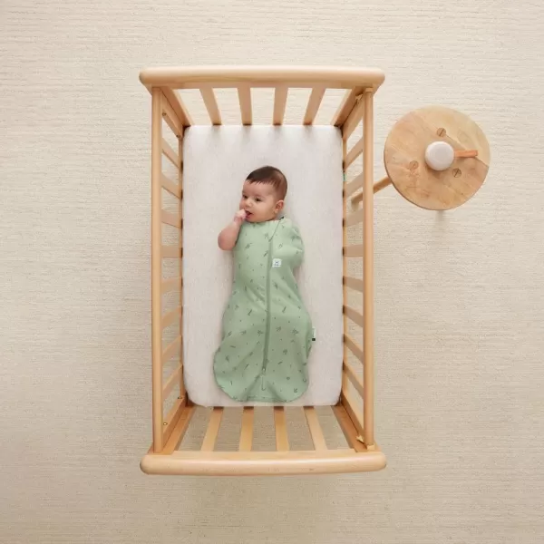 ERGOPOUCH Zavinovačka a pytel na spaní 2v1 Cocoon Willow 6-12 m, 8-10 kg, 0,2 tog