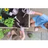 Little Dutch Kyblík Fairy Garden