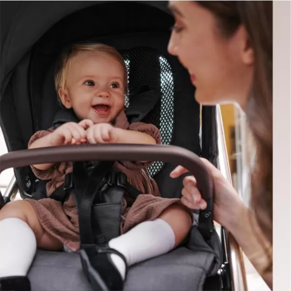 Inglesina Sportovní kočárek Aptica