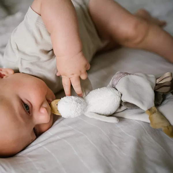 BABYONO Mazlíček dečka 2v1 Houska Zoe 0m+