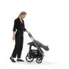 Inglesina Kočárek Aptica Darwin 4v1