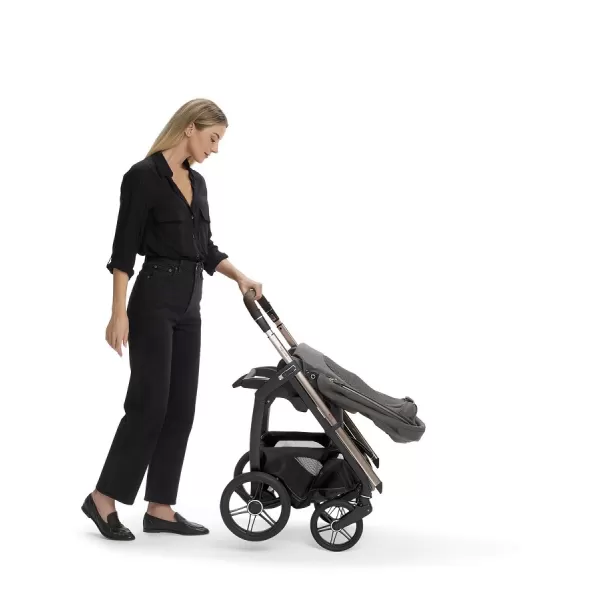 Inglesina Kočárek Aptica Darwin 4v1