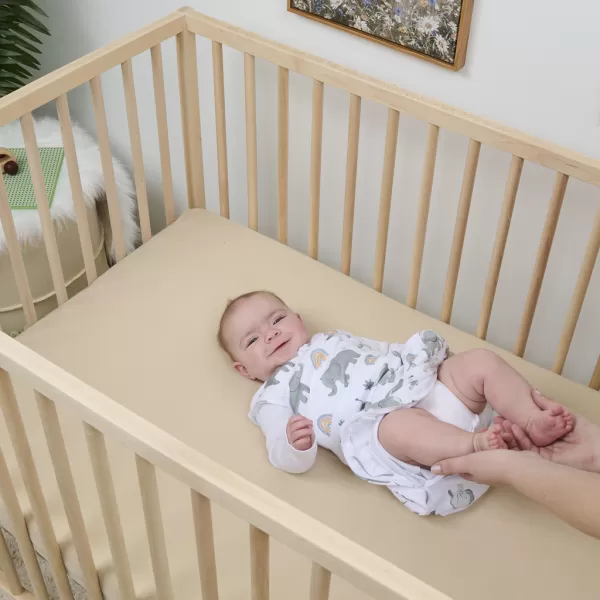 INGENUITY Zavinovačka bavlněná ulitka konvertibilní s volným rukávem TOG 1 SwaddleMe™ Grey 3m+