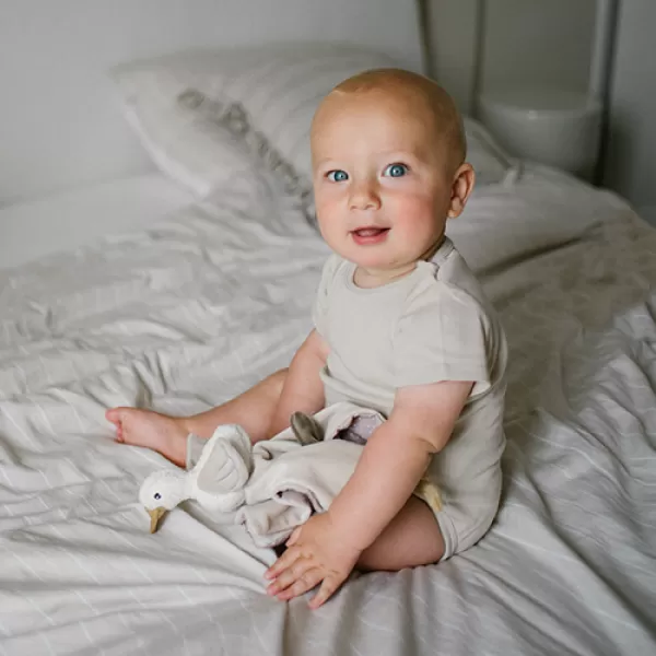 BABYONO Mazlíček dečka 2v1 Houska Zoe 0m+