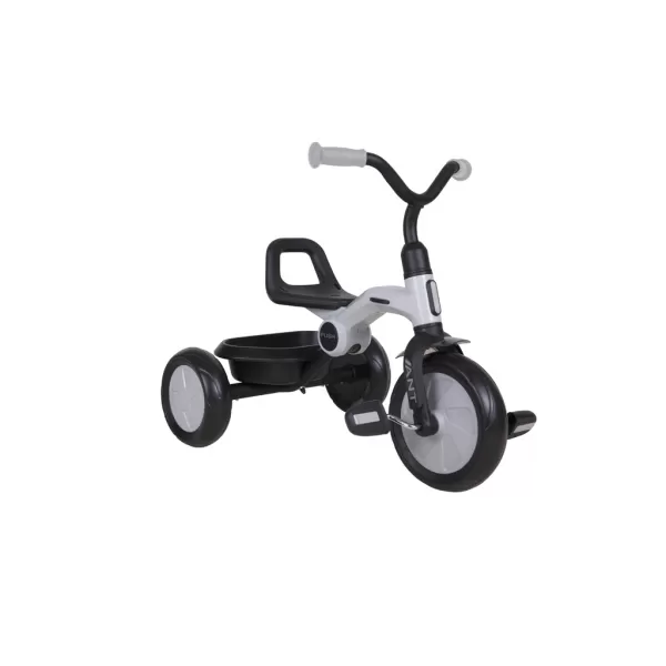 QPLAY Tříkolka Ant, věk 2 - 6 let