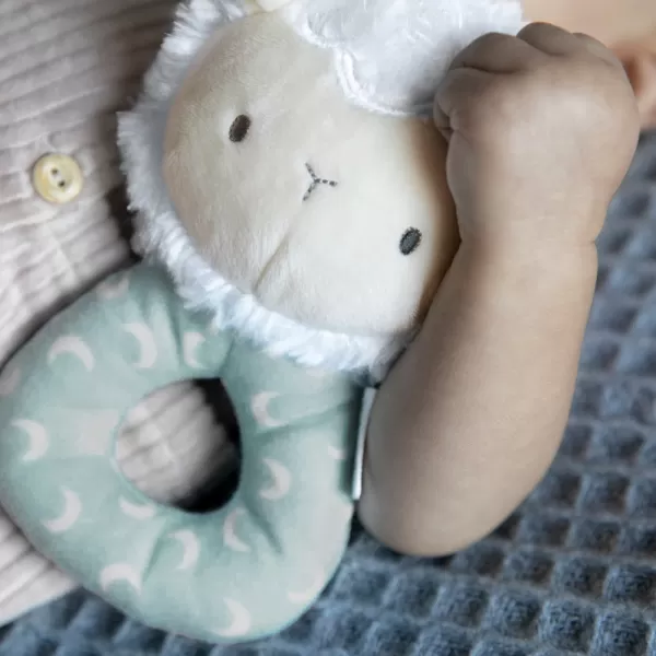 Ingenuity Chrastítko plyšová kulatá Sheppy™ 0 m+