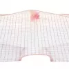 Lässig Long sleeve Bib Garden Explorer