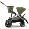 Barva 2025 Moss Green (Taupe Frame)