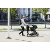 Thule Shine Rider Board