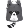 Barva racoon