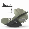 Barva 2025 Sage Green (Plus)