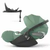 Barva 2025 Leaf Green