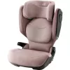Barva 2025 Dusty Rose
