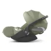 Barva 2025 Sage Green (Plus)
