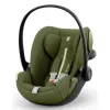 Barva Moss Green (Plus)